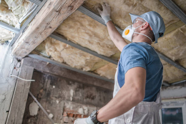 Best Energy Efficiency Solutions in East Mountain, TX